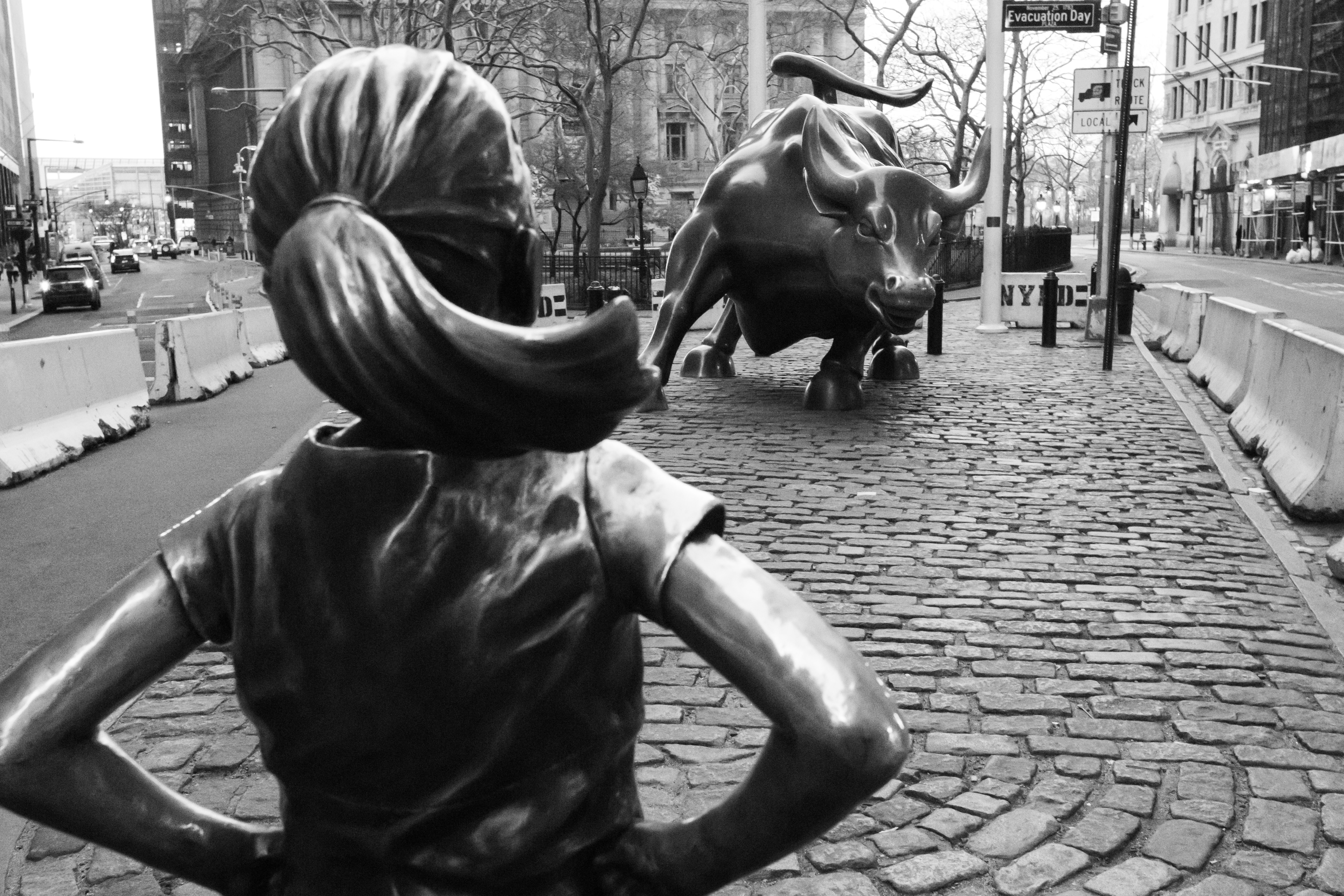 girl against bull